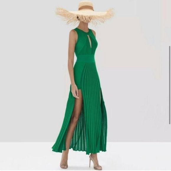 Alexis Gara Dress - Picture 1 of 11